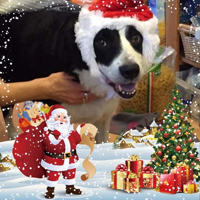 FBC8F07D-1419-4DEB-8593-EEFED66CA6DA