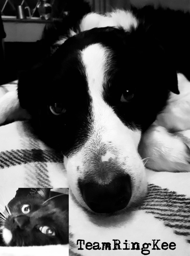 B0C85376-0116-485F-A14E-89603DB10457