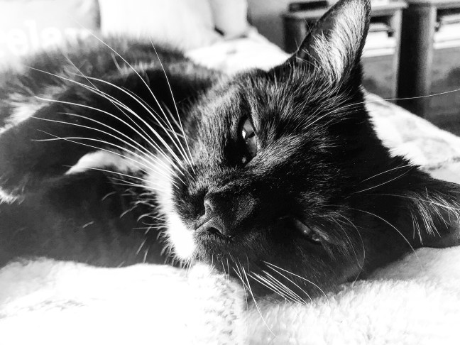 557EB065-A7C7-4109-A248-A2701AF054A1