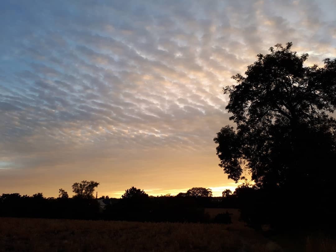 A796524D-AFCD-4D58-BE39-0F746F40B038