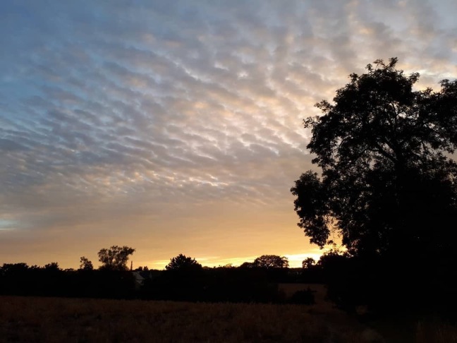 A796524D-AFCD-4D58-BE39-0F746F40B038