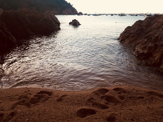 D07D2E13-1900-4BB5-8926-1076B7BC2DEC